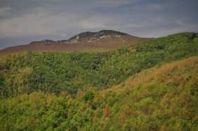 Monte Nero